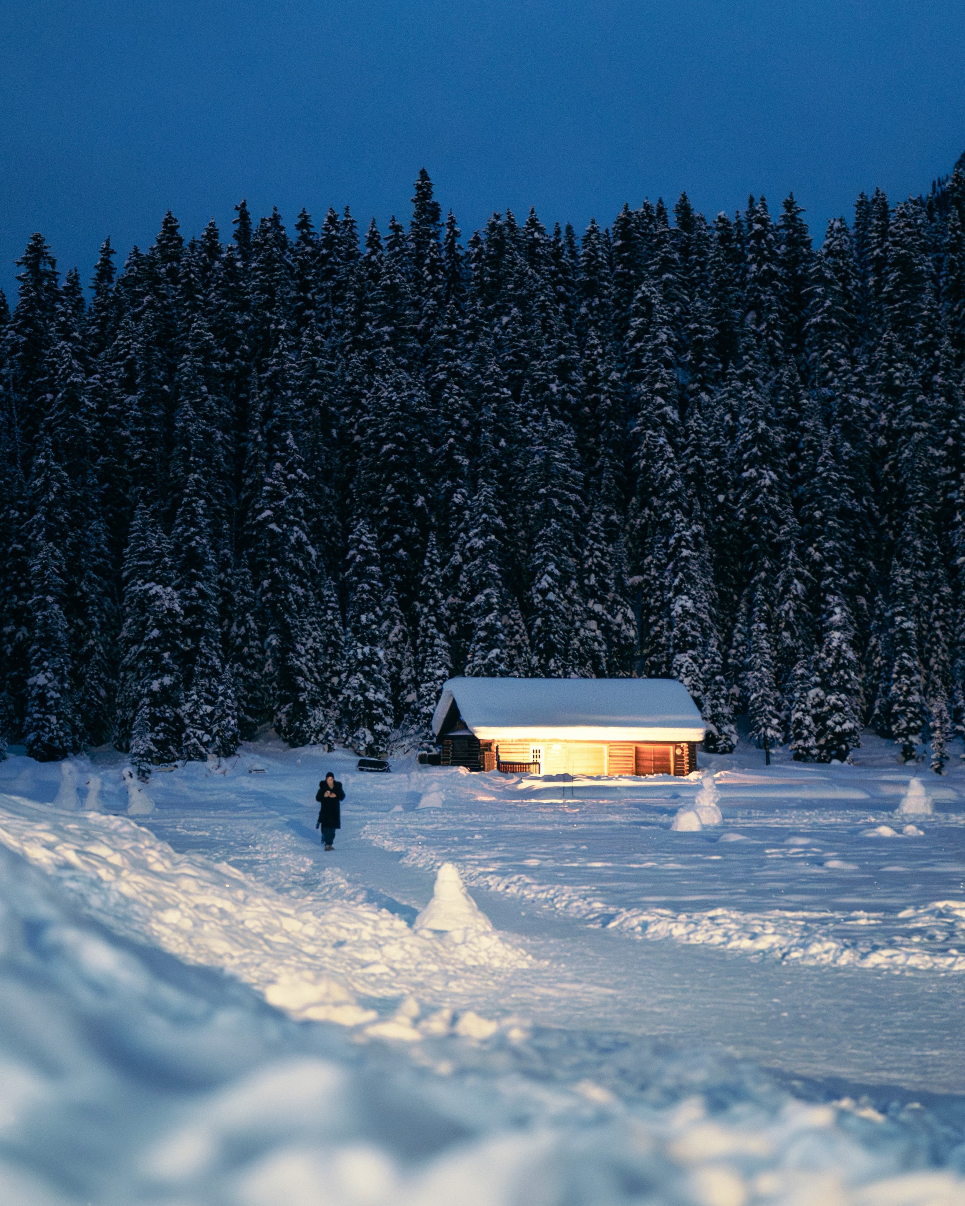Cabin