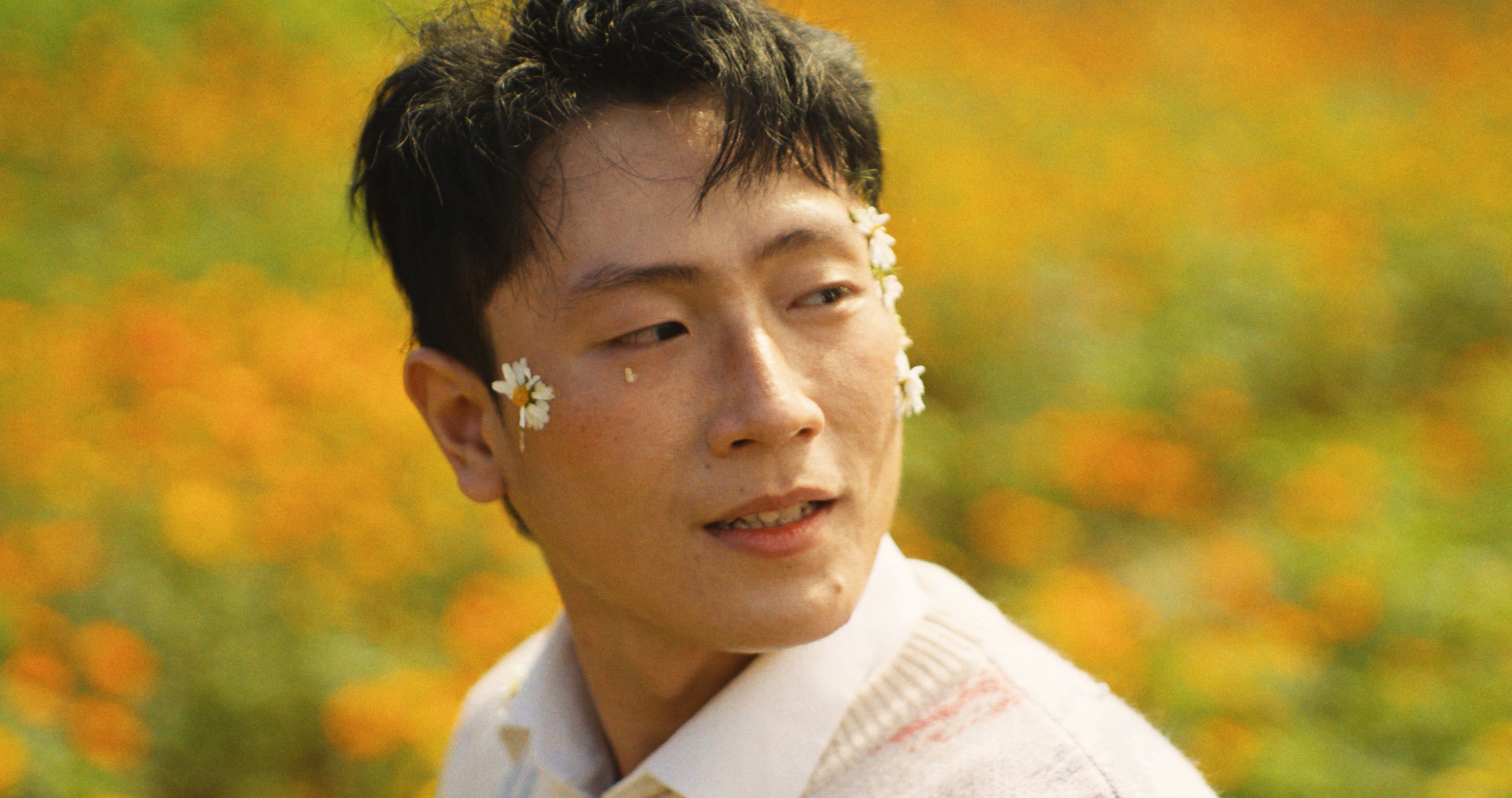 Young man with daisies around his eyes in a marigold field, rendered through Latent